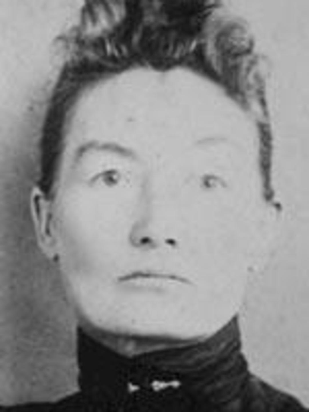 Violet Swan (1846 - 1904) Profile